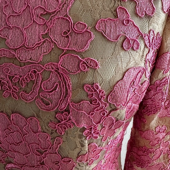 Eliza J Nude and Pink Lace Sheath Cocktail Dress - Picture 4 of 10